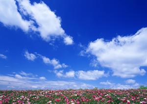 2025年最新版：効果的なホテルコスト削減のための実践ガイド